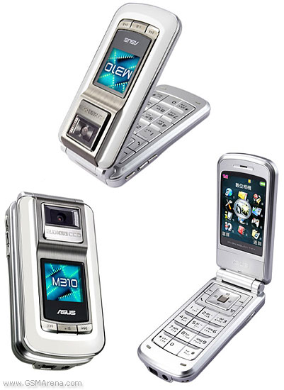Asus M310