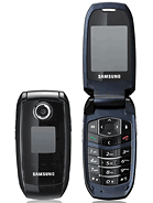 Samsung Samsung S501i