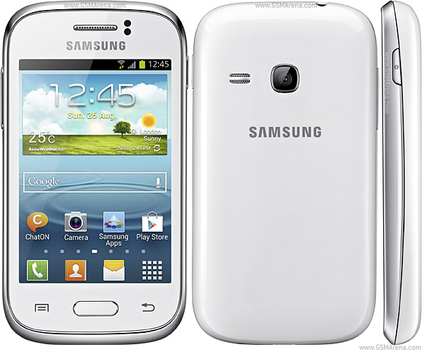 Samsung Galaxy Young S6310 pictures, official photos